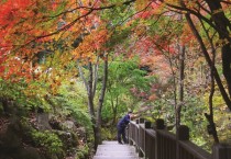 국립자연휴양림, 국민과 함께 만드는 산림휴양서비스