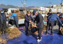 예산군, 예산장터 삼국축제에서 나무 나눠주기 행사 추진