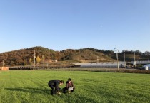 예산군, 국내조사료 생산 확대로 축산업 생산 기반 확보 총력