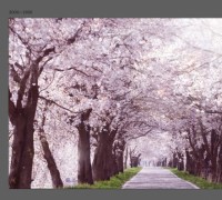 아산시, ‘아트밸리 아산 제2회 아산온천 벚꽃축제’, 벚꽃 만든다.